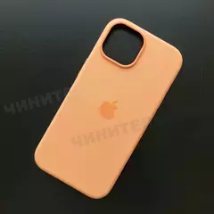 Чехол iPhone 15 Silicone Case (MagSafe) Orange Sorbet