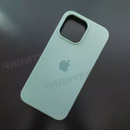 Чехол iPhone 14 Pro Max Silicone Case (MagSafe) Succulent