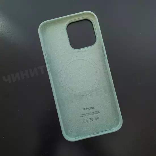 Чехол iPhone 14 Pro Max Silicone Case (MagSafe) Succulent
