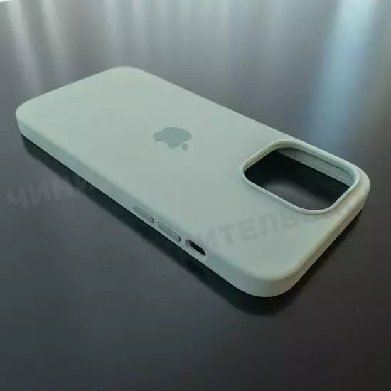 Чехол iPhone 14 Pro Max Silicone Case (MagSafe) Succulent