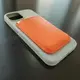 Чехол iPhone 14 Silicone Case (MagSafe) Succulent