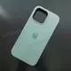 Чехол iPhone 14 Pro Max Silicone Case (MagSafe) Succulent
