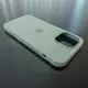 Чехол iPhone 14 Pro Max Silicone Case (MagSafe) Succulent