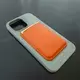 Чехол iPhone 14 Pro Max Silicone Case (MagSafe) Succulent